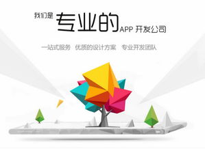 福州APP開發(fā)費(fèi)用解析與網(wǎng)絡(luò)開發(fā)質(zhì)量保障